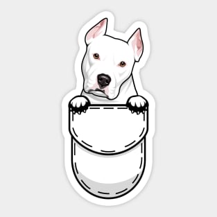 Pit Bull Terrier Pocket Dog Sticker